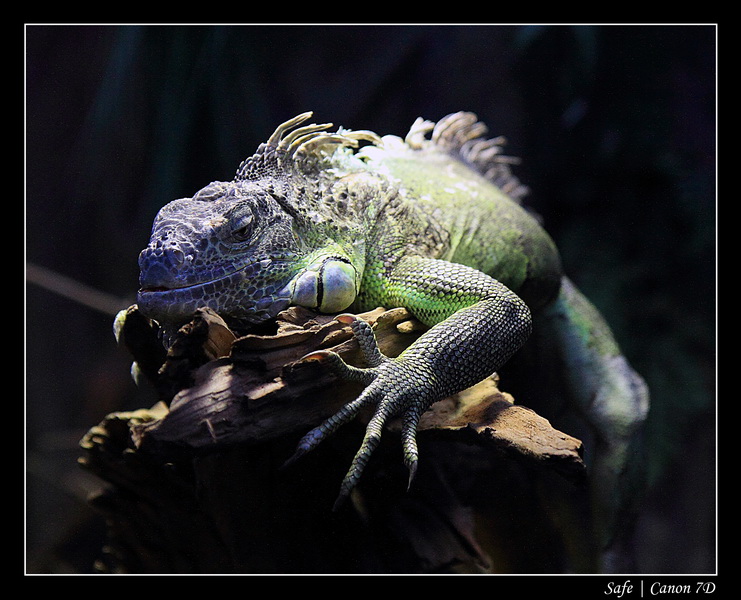 2012 - 06 - Dubai - 161